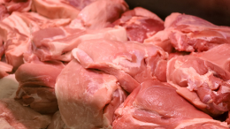 Мясо с «сюрпризом»: в поставленной в Россию из Бразилии свинине нашли сальмонеллу