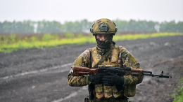 Армия России освободила населенный пункт Чигари в ДНР