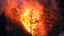 МЧС ликвидирует мощный природный пожар в Евпатории