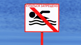 «Пойдут пузыри»: в Тамбовской области разгорается скандал из-за слива канализации в реку