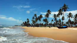 Белоснежные пляжи и пальмы: как провести райский отдых на Гоа
