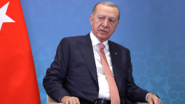 Эрдоган сообщил Зеленскому о готовности к любым инициативам ради мира на Украине