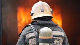 Последствия обстрела: МЧС ведут борьбу с лесным пожаром в районе Энергодара