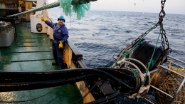 Россия приостановила морской промысел Японии в зоне Курил