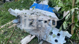 Обломки лайнера Sukhoi Superjet 100 нашли на месте крушения в Подмосковье