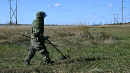 Российские саперы сообщили о плотном минировании ВСУ при отступлении из ДНР
