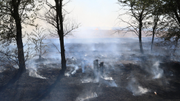 Охвачены 20 гектаров: сухая растительность горит в крымском Коктебеле
