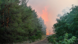 Под контролем: распространение огня в Краснодарском крае остановлено