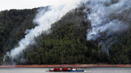 Принесло ветром: Красноярск окутал едкий дым от лесных пожаров в Якутии