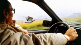 Внезапные последствия: врачи предупредили водителей о вреде долгого вождения