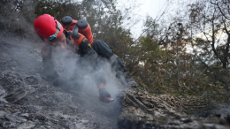 Встречный пал и авиация: как идет борьба с лесными пожарами в Якутии