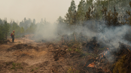 Повреждены 14 домов: мощный лесной пожар вспыхнул в Астрахани
