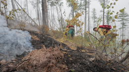 Огонь идет к поселкам: ситуация с лесными пожарами в Якутии остается напряженной