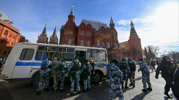 Подозреваемый в подрыве авто в Москве участвовал в акциях протеста 2014 года
