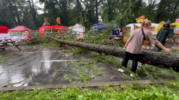 Дерево упало на мужчину в парке на Крестовском острове Санкт-Петербурга