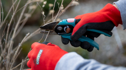 Дешевый против дорогого: какой секатор справится с ветками лучше