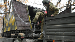 «Тосочка» выжгла позиции ВСУ. Лучшее видео из зоны СВО