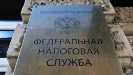 Не только с бизнеса и ИП: налоговая сможет взыскать долги без суда