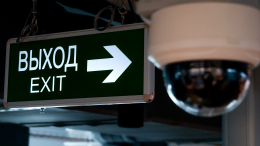 «Потребуется несколько армий»: Золотов доложил Путину о необходимых мерах для охраны школ