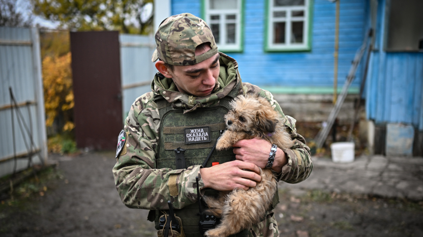 Лучший друг на передовой: бойцы в зоне СВО воюют бок о бок с домашними животными