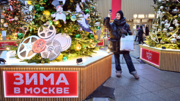 Цигун и тайны усадеб: что приготовили парки в рамках проекта «Зима в Москве»