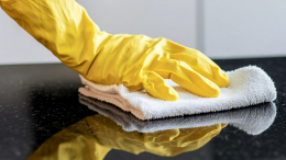 Лучшая защита от микробов: как правильно проводить дезинфекцию дома