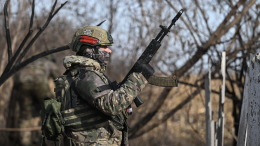 ВС РФ освободили Лебедевку в Курской области и хутор Новенькое в Сумской области