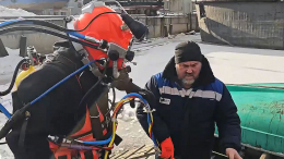 Водолазы провели две тысячи часов под водой на объектах «Россетей»