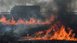 «Очень страшно»: противопожарный режим действует в 11 регионах России