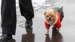 Достаем зонтики: погода в Москве 5 апреля
