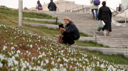 «Становится более интенсивным»: когда в Москве ждать окончания заморозков