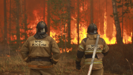 Обстановка сложная: Дагестан накрыли лесные пожары
