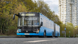 Бесплатными станут некоторые маршруты автобусов в Москве в Вербное воскресенье