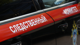 Женщина бросила полугодовалую дочь в сугробе в Хабаровском крае