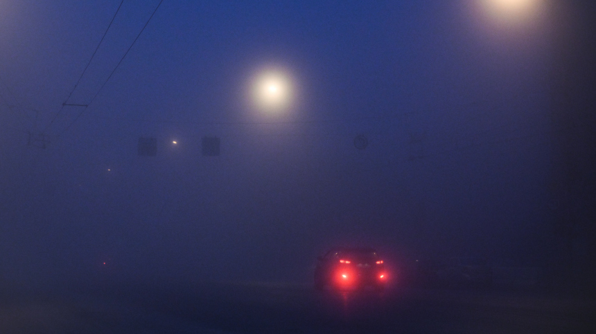 МЧС Московской области предупредило о сильном тумане с ухудшением видимости