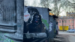 В Санкт-Петербурге фанаты Техника заклеили граффити с изображением Цоя
