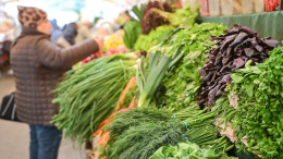 В Москве вновь открылись сезонные ярмарки выходного дня