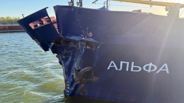 Теплоход «Альфа» столкнулся с воротами на реке Дон
