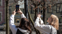 Самый жаркий апрель: в Москве и Петербурге зафиксировано рекордное тепло