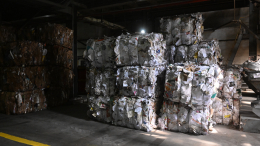 В России стало выгодно собирать макулатуру