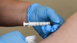 Клещи покусали уже 30 тысяч россиян