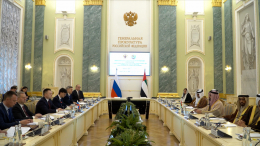 Краснов отметил важность развития связей с ОАЭ по линии Интерпола