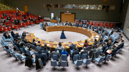 Совбез ООН обсудил украинский кризис: инициатива перемирия вызвала споры