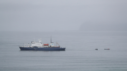 Россия зафиксировала случаи вмешательства в морское судоходство