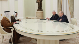 Владимир Путин встретился с главой МВД ОАЭ