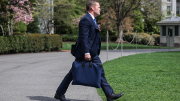 Майк Уолтц может покинуть пост помощника Дональда Трампа по нацбезопасности