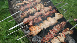 В магазине «Магнолия» продавался зараженный сальмонеллой шашлык