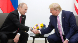 Передали теплые слова: Путин и Трамп поздравили друг друга с Днем Победы