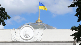 «Бить прутом»: на Украине началась кампания телесных наказаний за русский язык