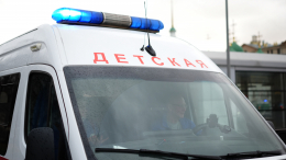 В Краснодаре собака укусила за лицо семилетнего мальчика